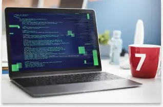 Web Development Course