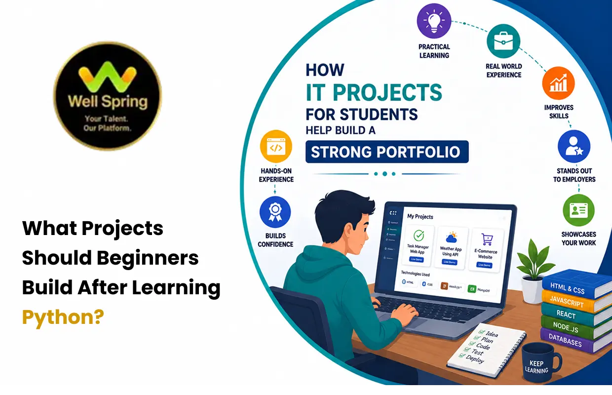 What Projects Should Beginners Build After Learning Python?