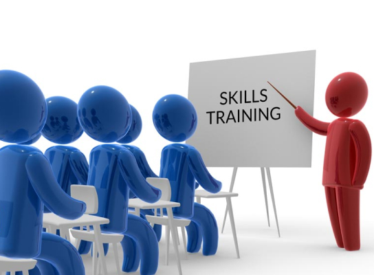 Why Students Need Professional Training