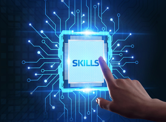 Digital Skills Every Job Seeker Needs