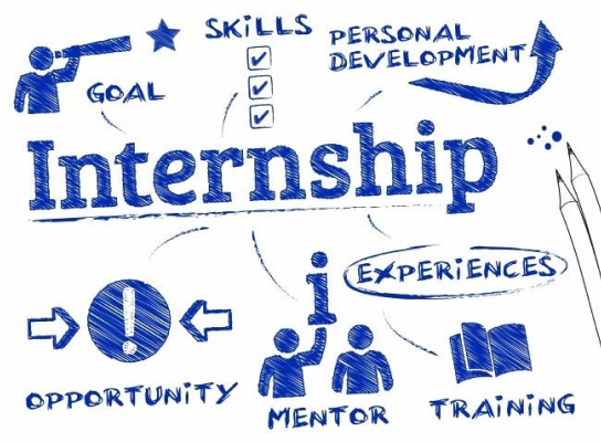 How Internships Shape Students for Future Jobs